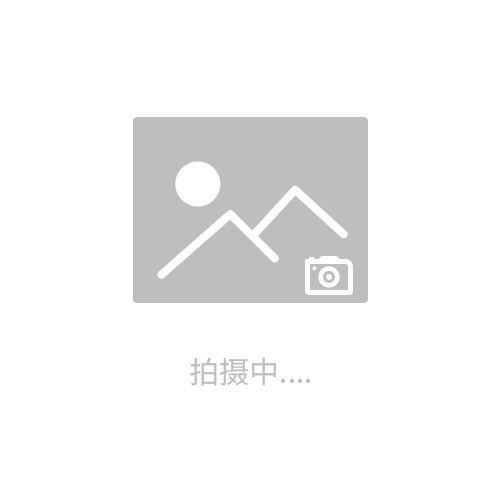 Remo-hse模塊  Remo-hse高電壓表  Remo-hse變壓器   Remo-hse高壓